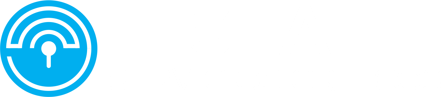 Tesla Servicios Críticos